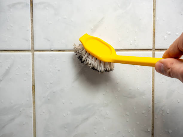 Best Mold Removal Company Near Me  in Brewton, AL